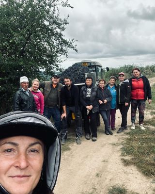 Merlot 2023!! #merlot #realwine #familywinery #zajeci #palava #southmoravia #wine #dekujeme